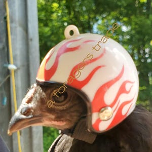 craziest motorcycle helmets Top 10 Motorcycle Racer Helmet Graphics