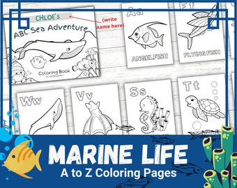 Libro para colorear con el alfabeto de animales marinos para niños (niños pequeños y preescolares) / Para educación en el hogar, aprendizaje en el aula o cuidado de niños / - 28 páginas
