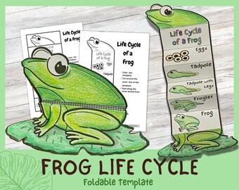 Foldable Frog Life Cycle Learning Activity For Kids A4 and 11x8.5 inch Digital Download