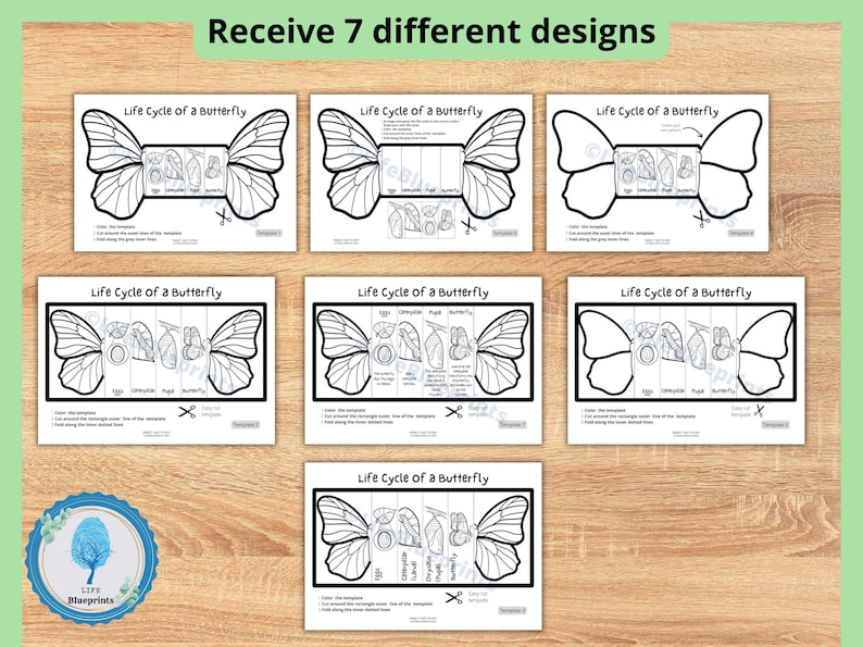 Life cycle of a butterfly