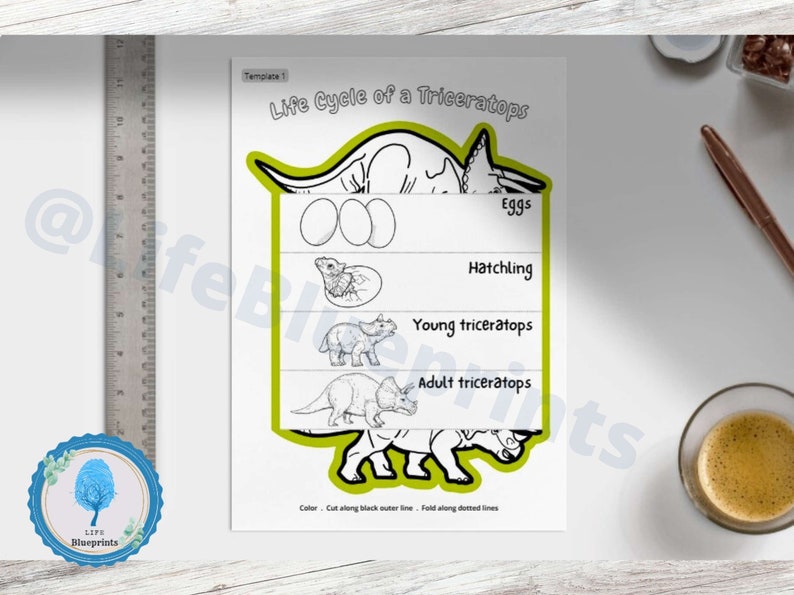 Triceratops Dinosaur Life Cycle Learning Activity for Kids | Montessori ...