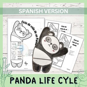 Actividad de aprendizaje del ciclo de vida del panda en español para niños / Artesanía científica plegable / Descarga digital /