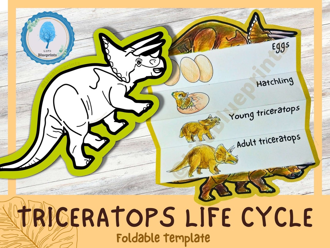 Triceratops Dinosaur Life Cycle Learning Activity for Kids | Montessori ...