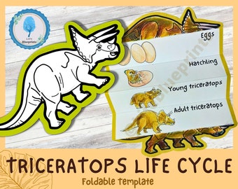 Triceratops Dinosaur Life Cycle Learning Activity For Kids | Montessori Craft | A4 and 11x8.5 inch | Digital Download