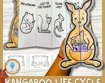 Kangaroo Life Cycle Activity for Kids | Foldable Craft | Australian Animal Unit Study | Cut & Paste | Digital Download | A4 size