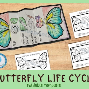 Butterfly life cycle printable worksheets