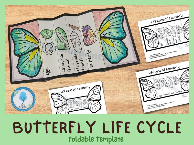 Butterfly life cycle printable worksheets