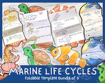 May include: A set of six printable foldable templates for teaching children about marine life cycles. The templates feature illustrations of sea turtles, clownfish, seahorses, and dolphins in different stages of their life cycles. The text on the templates includes the words "Eggs", "Hatchling", "Juvenile Turtle", "Adult Turtle", "Larval Stage", "Juvenile Clownfish", "Adult Clownfish", "Newborn", "Calf", "Growing Calf", and "Adult".