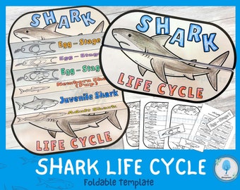 Life Cycle of a Shark Science Activity for Kids | Foldable Craft | Ocean Unit | Digital Download | A4 | Cut and Paste