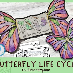 Faltbare Schmetterlings-Lebenszyklus-Lernaktivität für Kinder | A4 und 11x22 cm | Digitaler Download | Montessori Kinder lernen