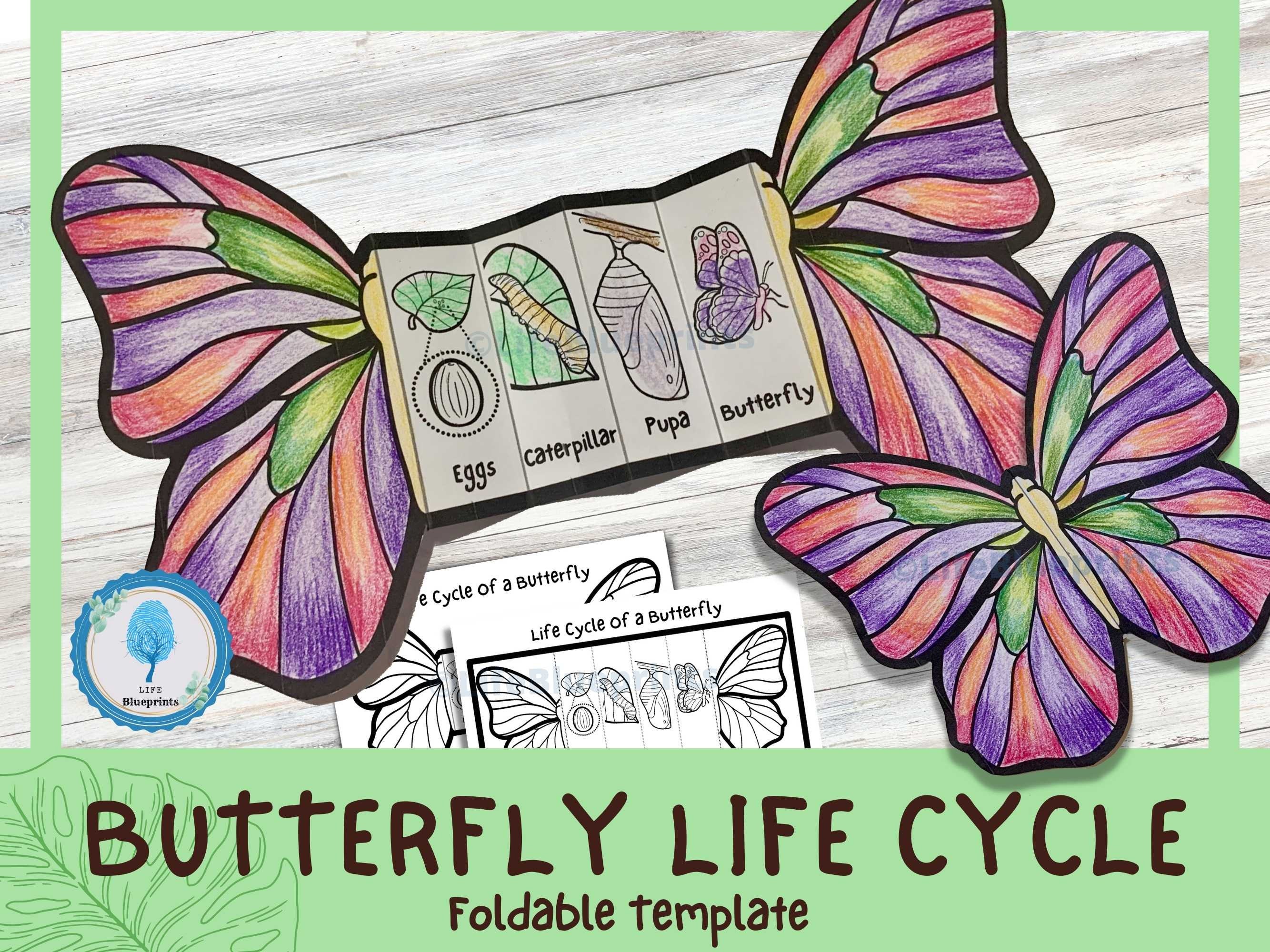 Actividad de aprendizaje del ciclo de vida de la mariposa plegable para niños / A4 y 11x8,5 pulgadas / Descarga digital / Aprendizaje para niños Montessori