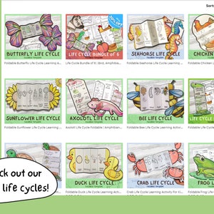 Foldable Butterfly Life Cycle Learning Activity For Kids | A4 and 11x8.5 inch | Digital Download | Montessori Kids Learning image 7