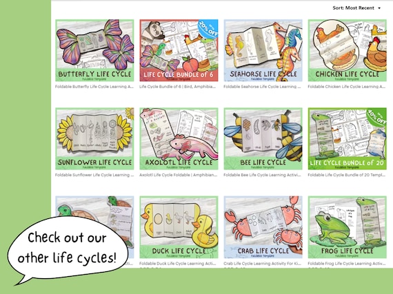 Foldable Duck Life Cycle Learning Activity for Kids A4 and 11x8.5
