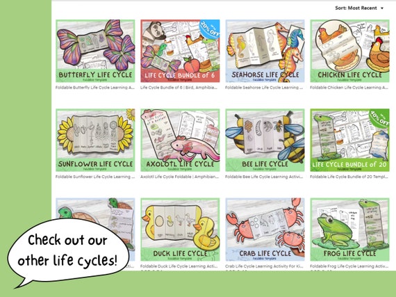 Foldable Duck Life Cycle Learning Activity for Kids A4 and 11x8.5