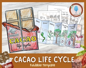 Cacao Life Cycle Foldout Activity for Kids | Discover Where Chocolate Comes From | Plant Life Cycle | A4 and 11x8.5 Inch Montessori Crafts
