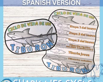 SPANISH Life Cycle of a Shark Science Activity for Kids | Foldable Craft | Ocean Unit | Montessori | Digital Download | A4 | Cut and Paste