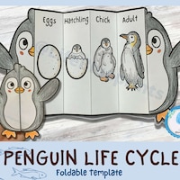 Life Cycle of a Christmas Tree Foldable Kids' Craft | A4 and 11x8.5 ...