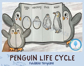 May include: A foldable template illustrating the penguin life cycle, featuring stages from egg to adult. The design includes a cartoon penguin and the text "Penguin Life Cycle". The template is a light blue color.