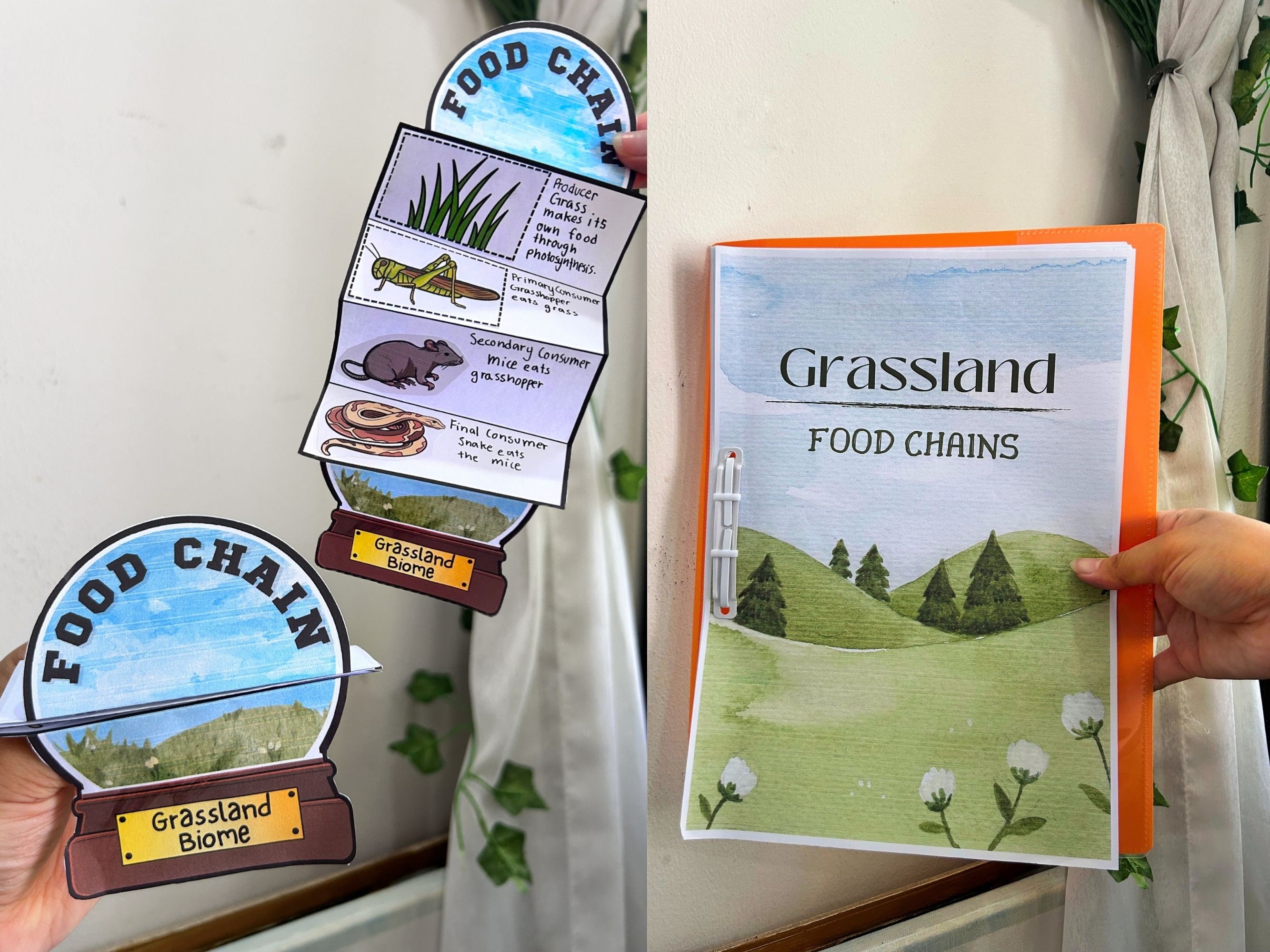 Grassland Food Chains Unit Study Snow Globe Food Web Printable A4 ... Biology Diagrams