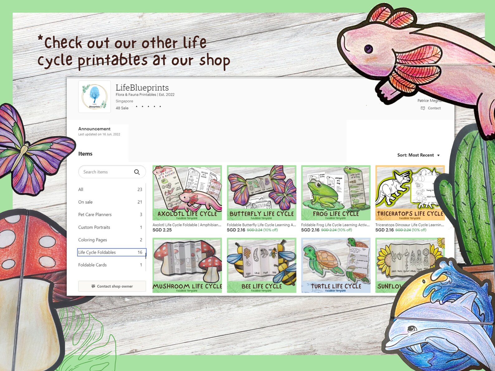 Foldable Clownfish Life Cycle Learning Activity for Kids | A4 and 11x8 ...