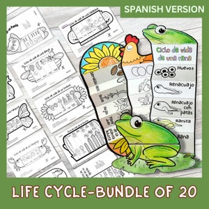 SPANISH Foldable Life Cycle Bundle of 20 Templates | Discounts with Bundle | Learning Activity For Kids | A4 | Digital Download |