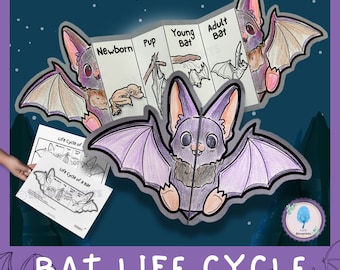 Life Cycle of a Bat Science Activity for Kids | Foldable Craft | Bat Study | Halloween Unit | Digital Download | A4 | Cut and Paste