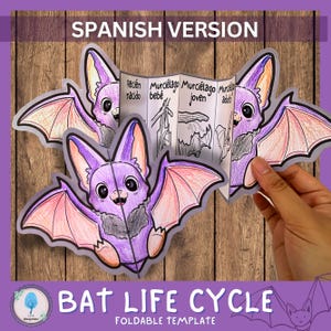 May include: A printable foldable template for teaching children about the life cycle of a bat. The template features a cartoon bat in different stages of its life cycle, including newborn, baby, juvenile, and adult. The template is labeled in Spanish with the words "Recién nacido", "Murciélago bebé", "Murciélago joven", and "Murciélago adulto".