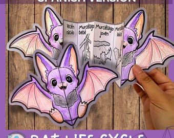 SPANISH Life Cycle of a Bat Science Activity for Kids | Foldable Craft | Bat Study | Halloween Unit | Digital Download | A4 | Cut and Paste