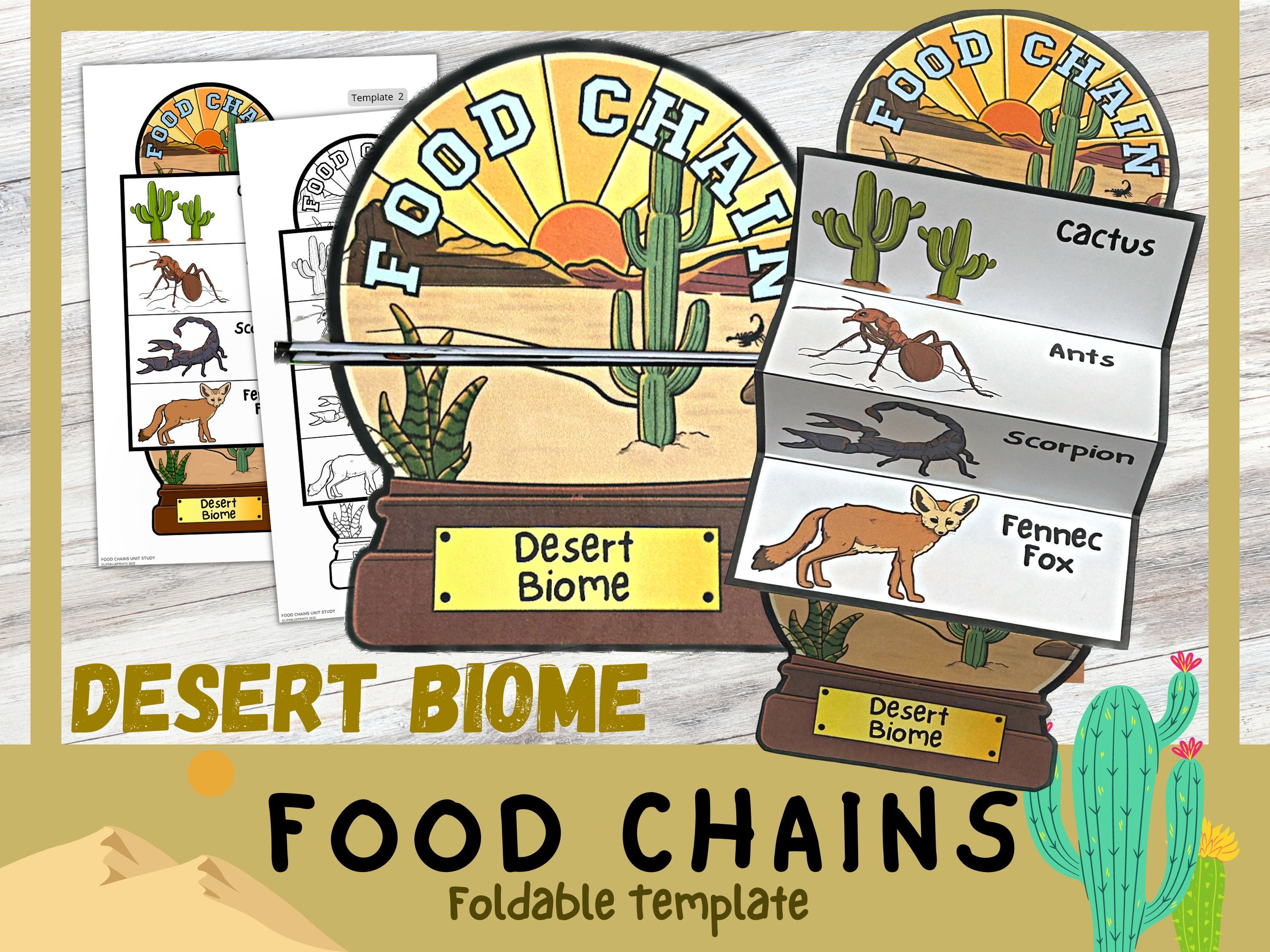 Desert Food Chains Foldable Kids' Craft Snow Globe Food Web