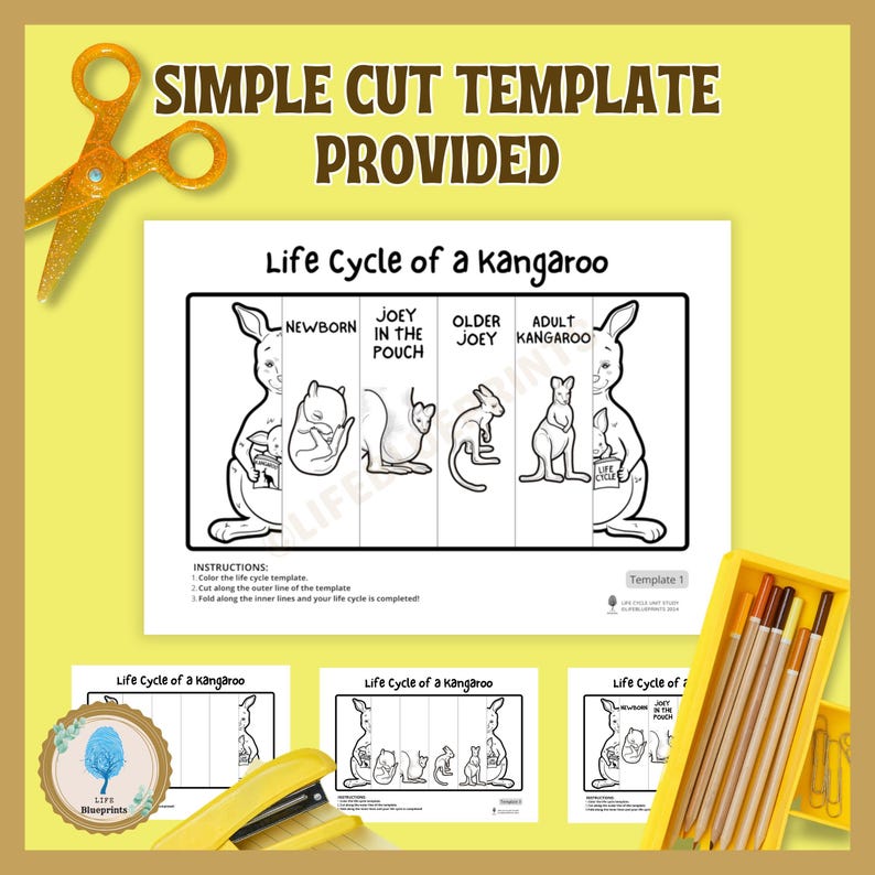 Kangaroo Life Cycle Activity for Kids | Foldable Craft | Australian ...