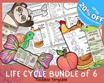 Paquete de ciclo de vida de 6 / Aves, Anfibios, Mamíferos, Insectos, Plantas, Marinas / Actividad de aprendizaje para niños / A4 y 11x8.5 pulgadas /Descarga digital/