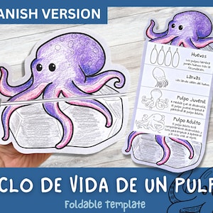 Actividad de aprendizaje del ciclo de vida del pulpo en ESPAÑOL para niños / Aprendizaje Montessori / A4 y 11x8.5 pulgadas / Descarga digital / Hoja de trabajo imprimible /