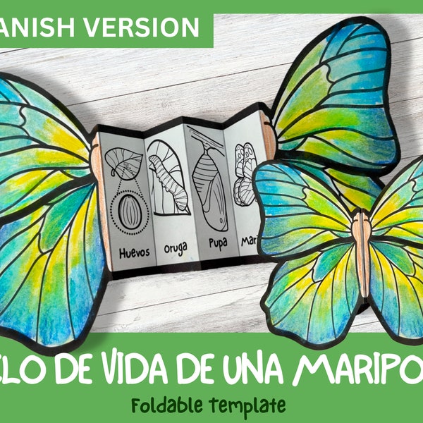 SPANISH Life Cycle of a Monarch Butterfly | Foldable Life Cycle Craft | Digital Download | Montessori Kids Learning | A4 and 11x8.5 inch
