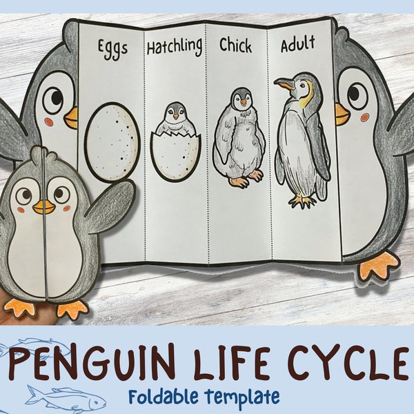 Foldable Penguin Life Cycle Learning Activity For Kids | A4 and 11x8.5 inch | Digital Download | Christmas Activity