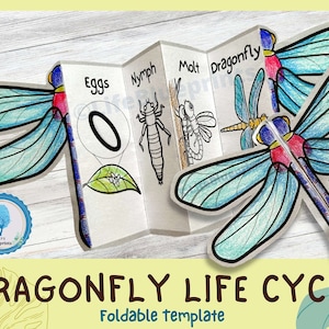 Foldable Dragonfly Life Cycle Learning Activity For Kids | A4 and 11x8.5 inch | Digital Download | Montessori Kids Learning | Science Crafts