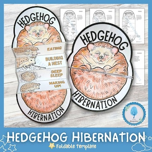 Puede incluir: Una plantilla plegable con un tema de erizo. La imagen principal muestra un erizo durmiendo dentro de un círculo con las palabras "Hedgehog" e "Hibernation". La plantilla se despliega para mostrar las etapas de la hibernación.