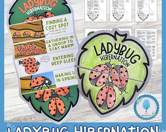 Ladybugs Hibernation Foldable Activity | Winter Sleep Study | Montessori Classroom | Interactive Science Notebook Printable | A4 Size