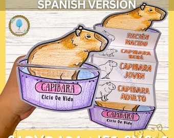 SPANISH Capybara Life Cycle Learning Activity For Kids | A4 and 11x8.5 inch | Digital Download | Montessori Kids Learning | Science Crafts