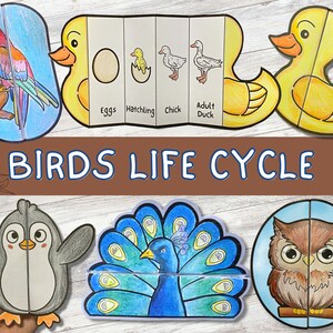 Paquete de ciclo de vida de aves de 6 plantillas / Pato, pollo, pingüino, loro / Actividad de aprendizaje para niños / A4 y 11x8,5 pulgadas / Descarga digital