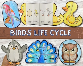 Bird Life Cycle Bundle of 6 Templates | Duck, chicken, penguin, parrot | Learning Activity For Kids | A4 and 11x8.5 inch | Digital Download