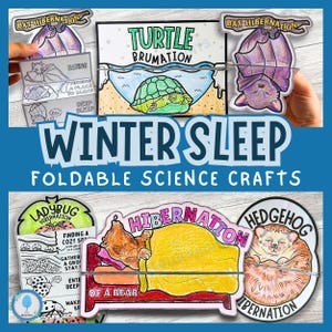 May include: A set of printable foldable science crafts for kids to learn about winter sleep. The crafts feature a turtle, bat, ladybug, bear, and hedgehog. Each craft has a colorful illustration and text about the animal's winter sleep habits.