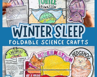 Hibernation & Brumation Craft Bundle – Fun, Interactive Winter Science Activities for Kids! Interactive Science Notebook Printable, PDF