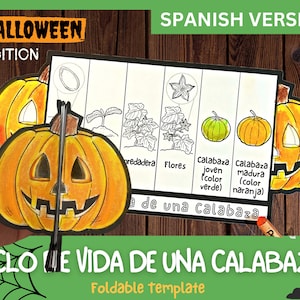 SPANISH Life Cycle of a Pumpkin Plant | Foldable Life Cycle Craft | Digital Download | Montessori Learning | A4 and 11x8.5 inch | Halloween