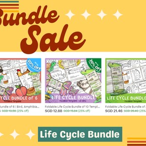 Foldable Sunflower Life Cycle Learning Activity for Kids | A4 and 11x8 ...