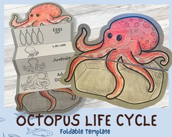 Foldable Octopus Life Cycle Learning Activity For Kids | A4 and 11x8.5 inch | Digital Download |