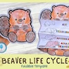 Foldable Sunflower Life Cycle Learning Activity for Kids A4 and 11x8.5 ...