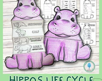 Hippopotamus Life Cycle Science Activity for Kids | Foldable Craft | Hippo Study | African Animal Unit | Cut and Paste | Digital Download