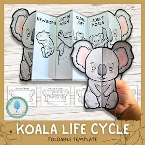 Koala Life Cycle Science Activity for Kids | Foldable Craft | Koala Study | Australian Animal Unit | Cut and Paste | Digital Download | A4