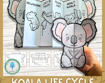 Koala Life Cycle Science Activity for Kids | Foldable Craft | Koala Study | Australian Animal Unit | Cut and Paste | Digital Download | A4