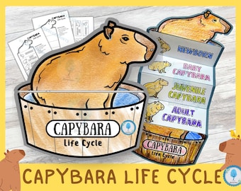 Capybara Life Cycle Learning Activity For Kids | A4 and 11x8.5 inch | Digital Download | Montessori Kids Learning | Science Crafts